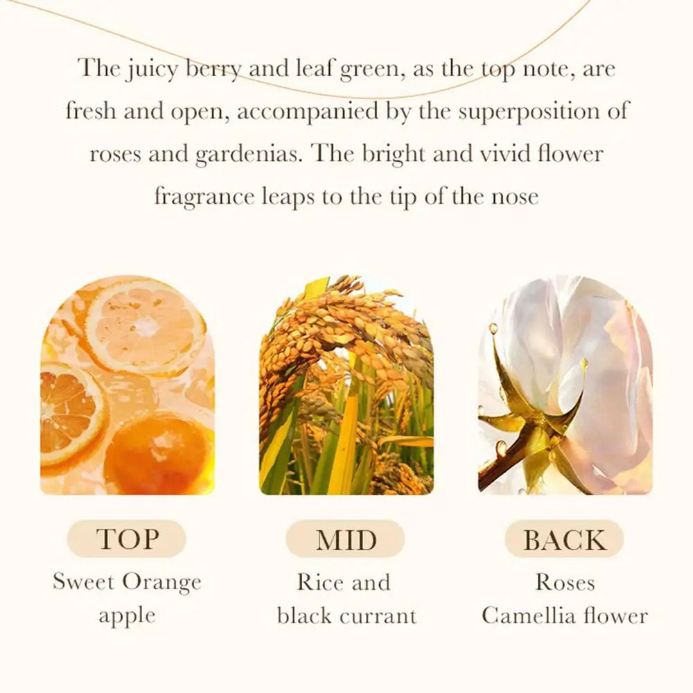 Rice Water Shampoo Volumizing Hair Shampoo For Hair Wash Brittle And Dry Hair Moisturizer For Dry Oily Hair For Travel Spa