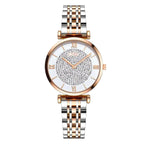 Luxury Women Watches Simple Elegant Ladies Watch Zegarek Damski Stainless Steel Metal Women's Wrsiwtwatch Relogio Feminino Saati