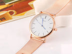 New Famous Silver Casual Geneva Quartz Watch Women Metal Mesh Stainless Steel Dress Watches For Gift Relogio Feminino Hot Clock