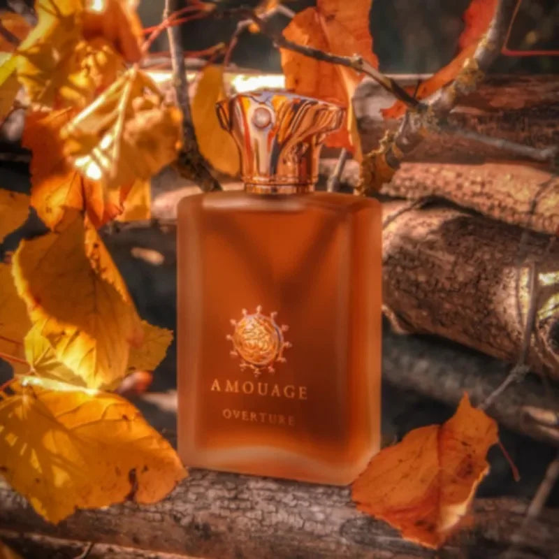 100ml Men’s Eau De Parfum Long Lasting Aromatic Woody Fragrance with Fresh Warm Clean Notes and Refined Masculine Elegance