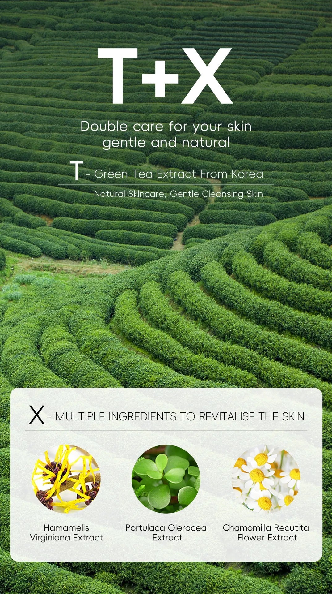 Green Tea Facial Cleanser Skin Deep Cleansing Moisturizing Blackhead Removal Skincare Face Wash Foam Face Cleanser Skin Care