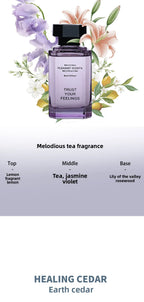 Aromatherapy Essential Oil Classical Series Rattan Aromatherapy Indoor Long-lasting Fragrance Air Freshener Premium Perfume