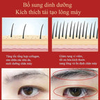 Eyebrow Growth Serum Eyelash Hair Growth Anti Hairs Loss Product Prevent Baldness Fuller Thicker Lengthening Eyebrow Makeup
