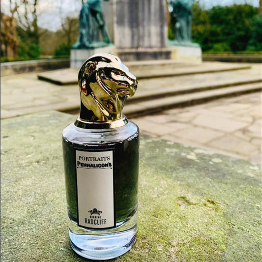 Men Perfume Long Lasting Luxury Fragrance Masculine Scent for Gentlemen Ideal for Work Travel Sports Party and Romantic Gift