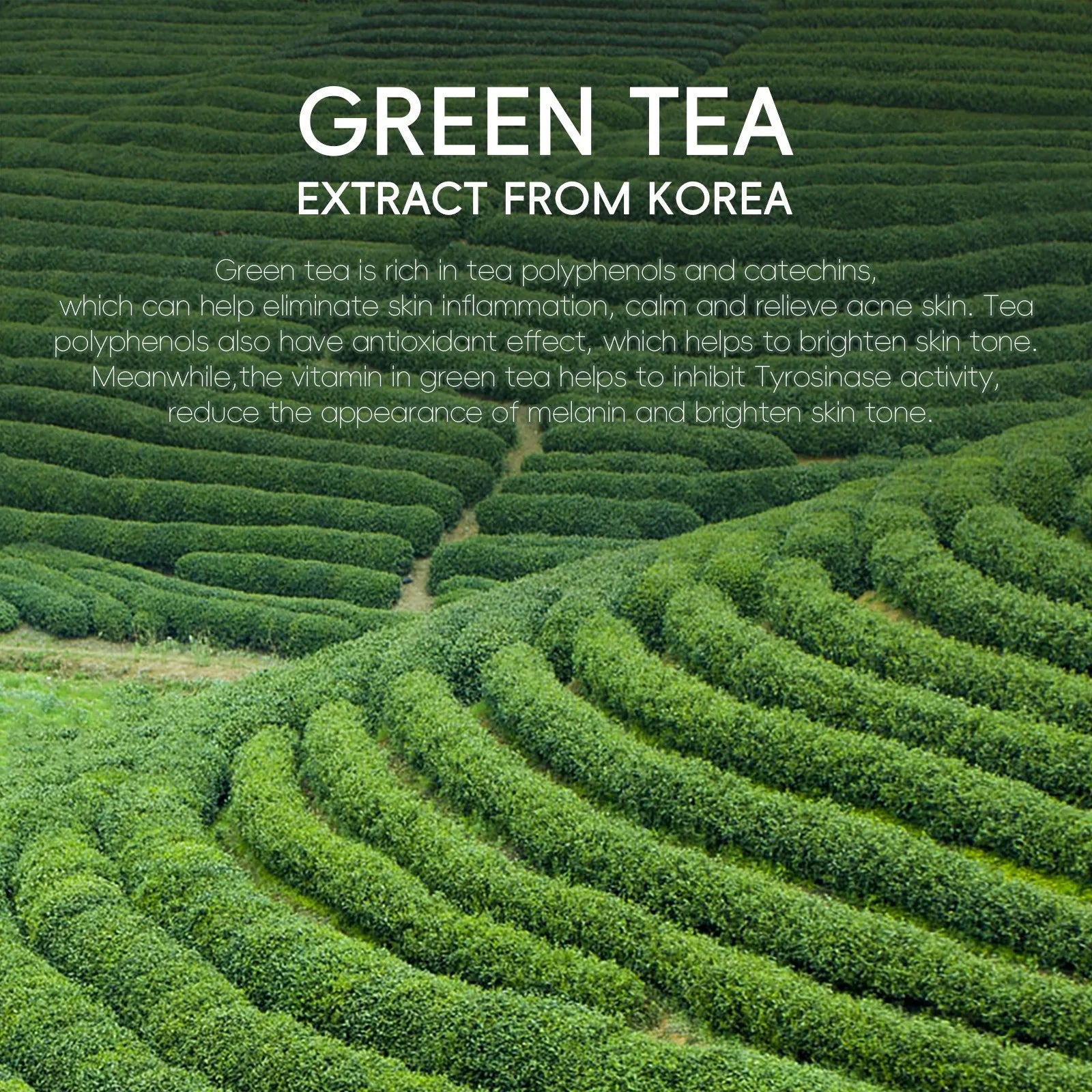 Green Tea Facial Cleanser Skin Deep Cleansing Moisturizing Blackhead Removal Skincare Face Wash Foam Face Cleanser Skin Care