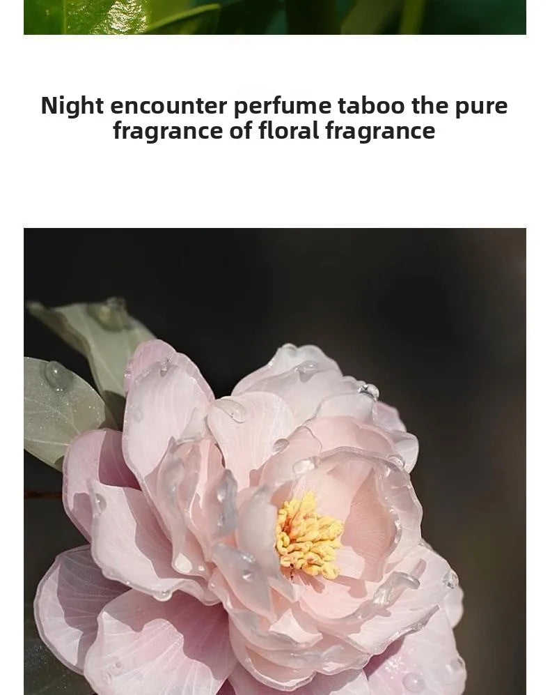 Women Perfume High Quality Classic Elegant Eau De Parfum Long Lasting Floral Woody Scents Exquisite Fragrance Trio for Gifting