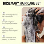 Rosemary Shampoo Conditioner Set Hair Repair Conditioning Prevent Loss Cleansing Dandruff Strengthen Root Hair Regrowth Care