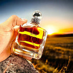110ml Woody floral fragrance unisex perfume Persistent eau de toilette fresh narture בושם לואי לגבר Daily perfume dupe perfume